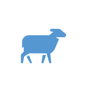 Oviganic - Sheep milk